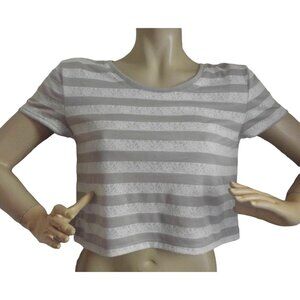 Express Crop T-Shirt Large Taupe Beige Off White Striped shirt silver cropped L